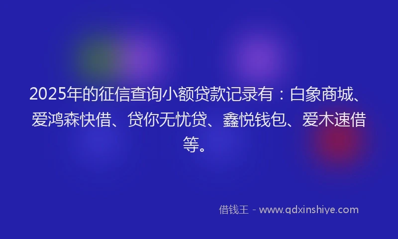 2025年的征信查询小额贷款记录有：白象商城、爱鸿森快借、贷你无忧贷、鑫悦钱包、爱木速借等。