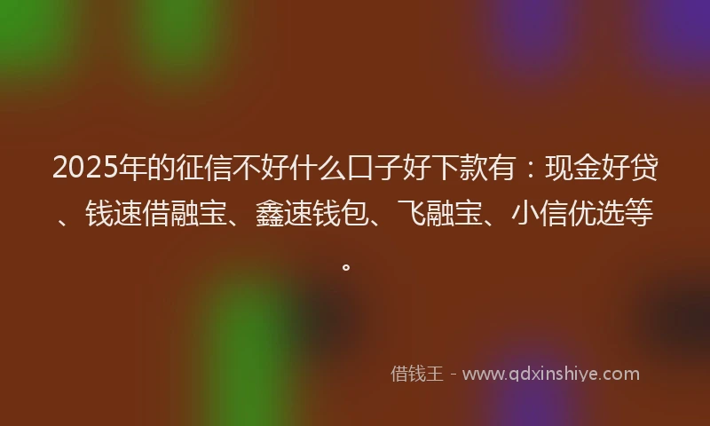 2025年的征信不好什么口子好下款有：现金好贷、钱速借融宝、鑫速钱包、飞融宝、小信优选等。