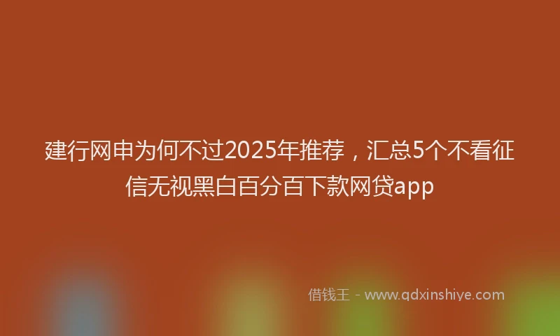 建行网申为何不过2025年推荐，汇总5个不看征信无视黑白百分百下款网贷app