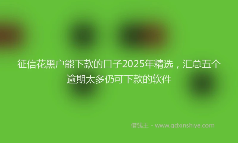 征信花黑户能下款的口子2025年精选，汇总五个逾期太多仍可下款的软件