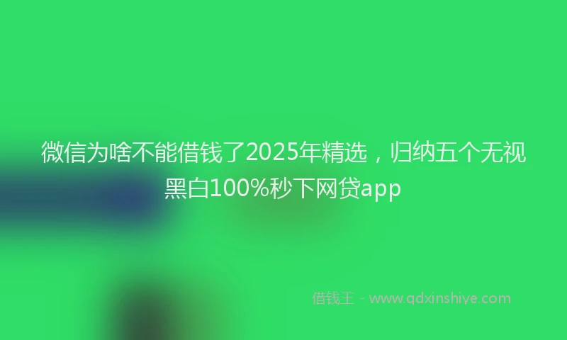 微信为啥不能借钱了2025年精选，归纳五个无视黑白100%秒下网贷app