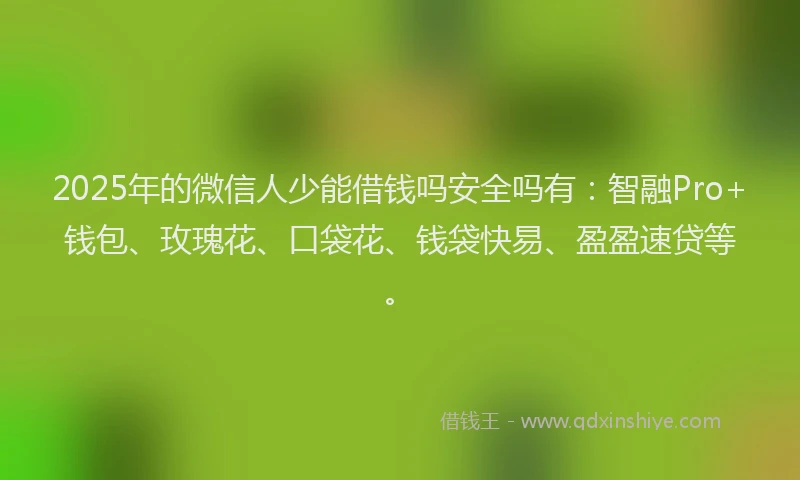 2025年的微信人少能借钱吗安全吗有：智融Pro+钱包、玫瑰花、口袋花、钱袋快易、盈盈速贷等。