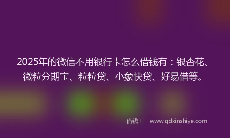 2025年的微信不用银行卡怎么借钱有：银杏花、微粒分期宝、粒粒贷、小象快贷、好易借等。