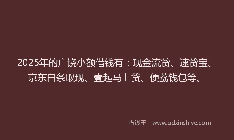 2025年的广饶小额借钱有：现金流贷、速贷宝、京东白条取现、壹起马上贷、便荔钱包等。