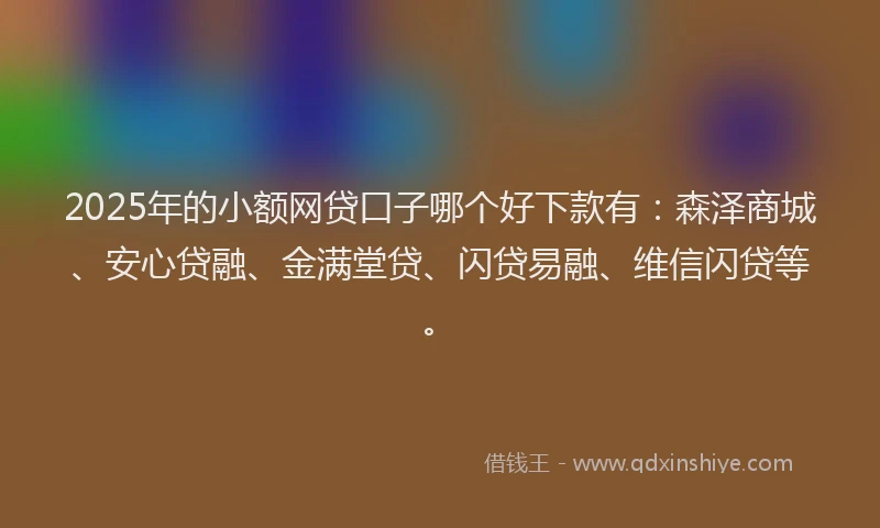 2025年的小额网贷口子哪个好下款有：森泽商城、安心贷融、金满堂贷、闪贷易融、维信闪贷等。