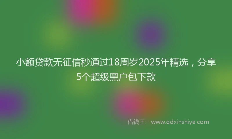 小额贷款无征信秒通过18周岁2025年精选，分享5个超级黑户包下款