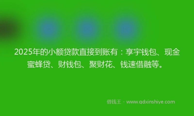 2025年的小额贷款直接到账有：享宇钱包、现金蜜蜂贷、财钱包、聚财花、钱速借融等。