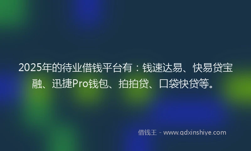 2025年的待业借钱平台有：钱速达易、快易贷宝融、迅捷Pro钱包、拍拍贷、口袋快贷等。