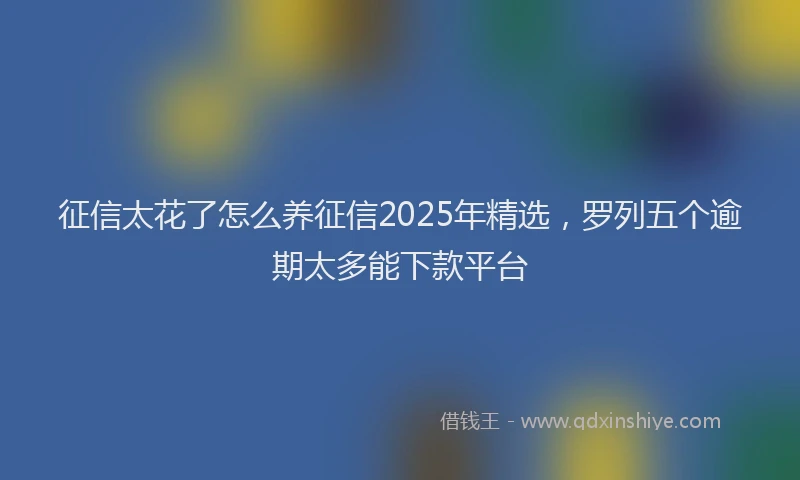 征信太花了怎么养征信2025年精选，罗列五个逾期太多能下款平台
