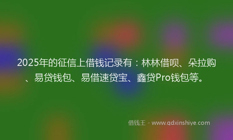 2025年的征信上借钱记录有：林林借呗、朵拉购、易贷钱包、易借速贷宝、鑫贷Pro钱包等。