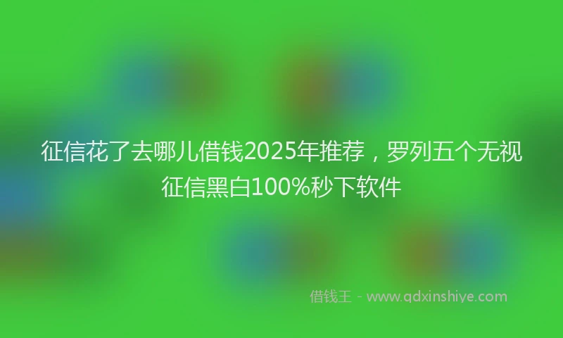 征信花了去哪儿借钱2025年推荐，罗列五个无视征信黑白100%秒下软件