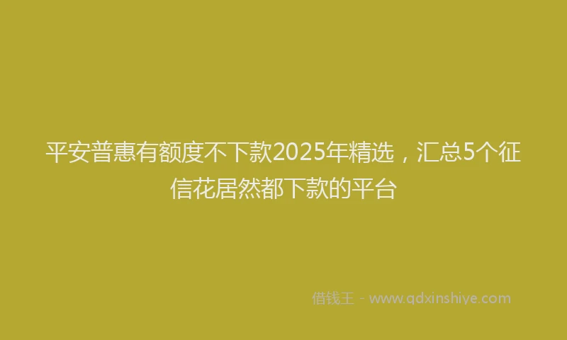 平安普惠有额度不下款2025年精选，汇总5个征信花居然都下款的平台