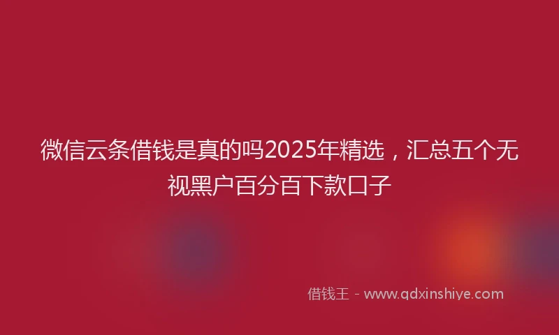 微信云条借钱是真的吗2025年精选，汇总五个无视黑户百分百下款口子