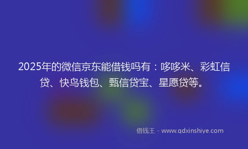 2025年的微信京东能借钱吗有：哆哆米、彩虹信贷、快鸟钱包、甄信贷宝、星愿贷等。