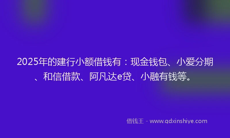 2025年的建行小额借钱有：现金钱包、小爱分期、和信借款、阿凡达e贷、小融有钱等。