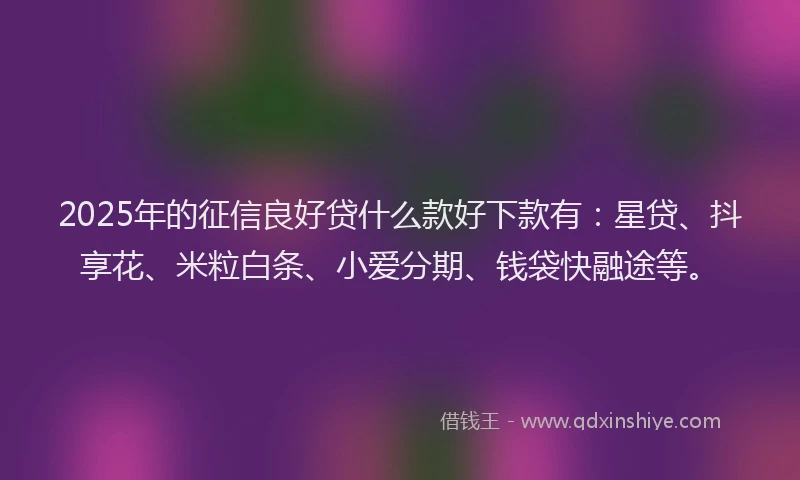 2025年的征信良好贷什么款好下款有：星贷、抖享花、米粒白条、小爱分期、钱袋快融途等。