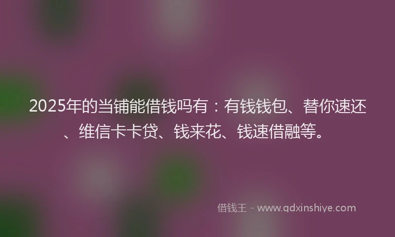 2025年的当铺能借钱吗有：有钱钱包、替你速还、维信卡卡贷、钱来花、钱速借融等。