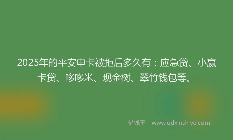 2025年的平安申卡被拒后多久有：应急贷、小赢卡贷、哆哆米、现金树、翠竹钱包等。
