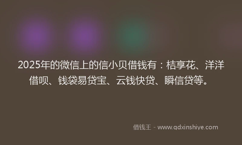 2025年的微信上的信小贝借钱有：桔享花、洋洋借呗、钱袋易贷宝、云钱快贷、瞬信贷等。
