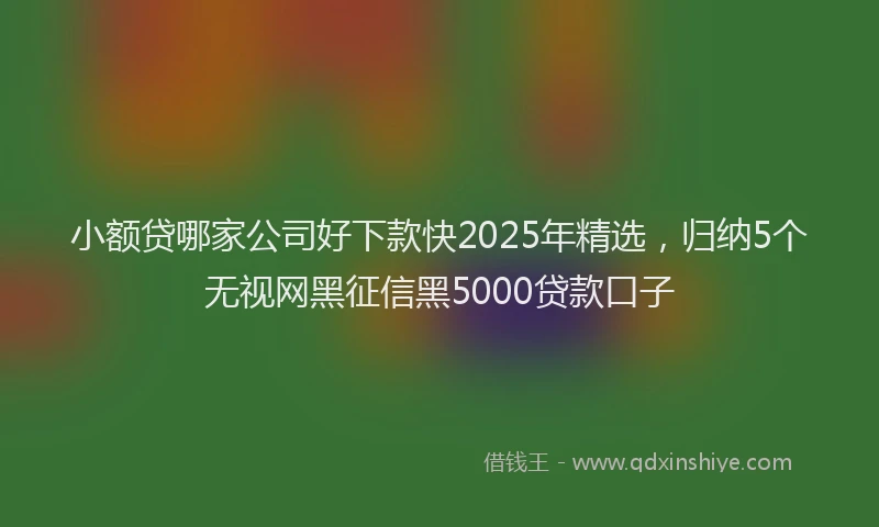 小额贷哪家公司好下款快2025年精选，归纳5个无视网黑征信黑5000贷款口子