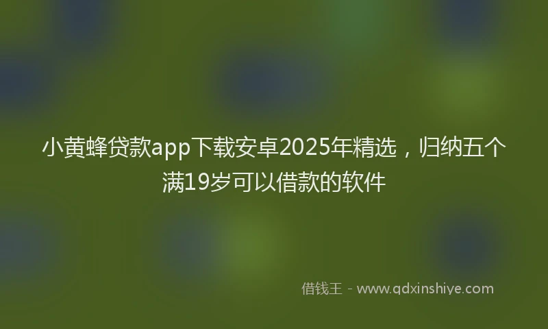 小黄蜂贷款app下载安卓2025年精选，归纳五个满19岁可以借款的软件