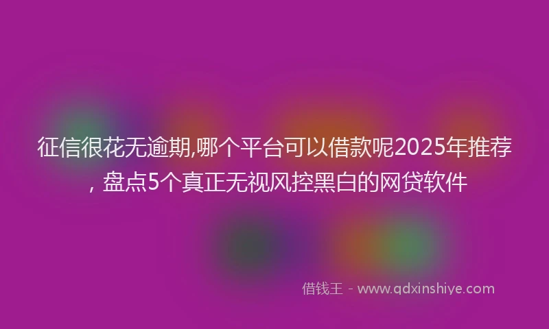 征信很花无逾期,哪个平台可以借款呢2025年推荐，盘点5个真正无视风控黑白的网贷软件
