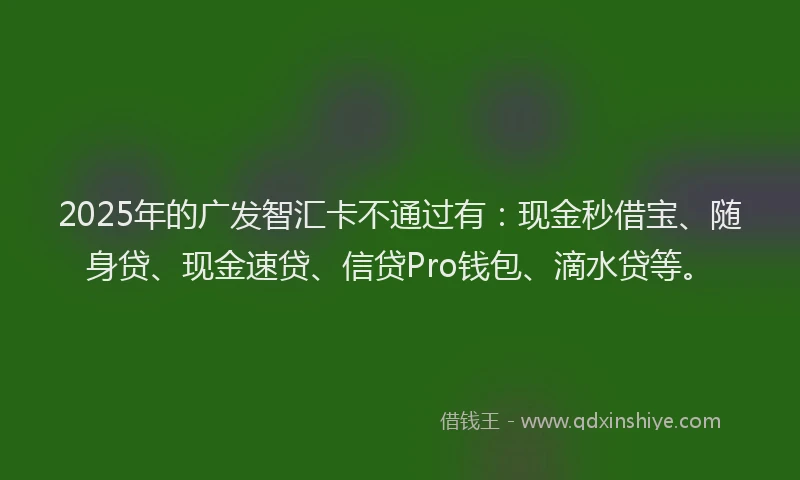 2025年的广发智汇卡不通过有：现金秒借宝、随身贷、现金速贷、信贷Pro钱包、滴水贷等。
