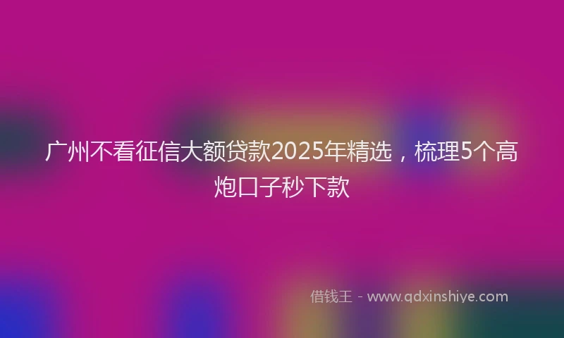 广州不看征信大额贷款2025年精选，梳理5个高炮口子秒下款