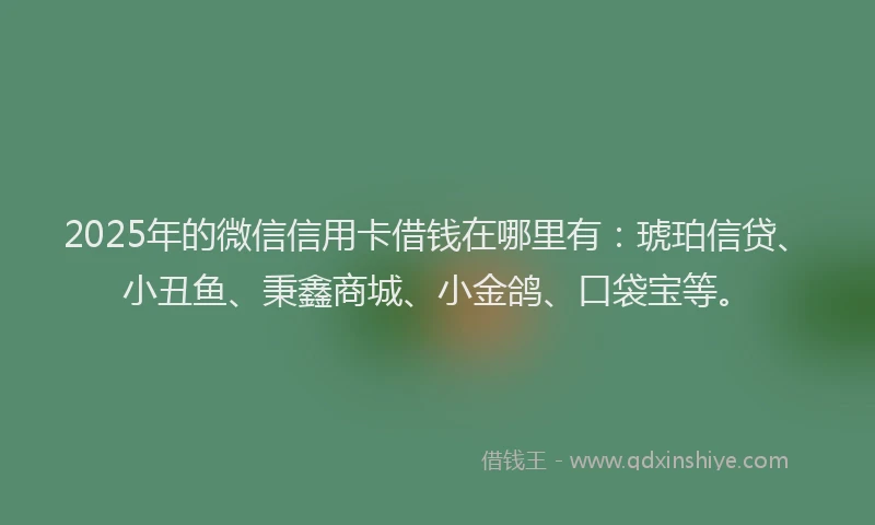 2025年的微信信用卡借钱在哪里有：琥珀信贷、小丑鱼、秉鑫商城、小金鸽、口袋宝等。