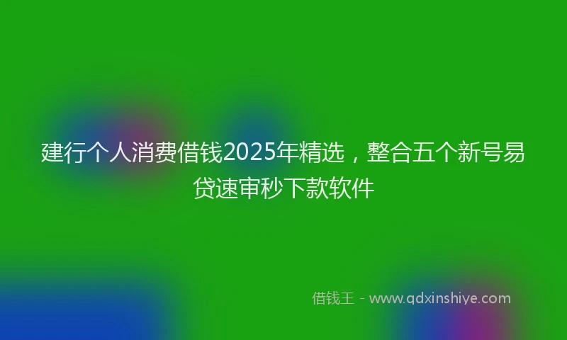 建行个人消费借钱2025年精选，整合五个新号易贷速审秒下款软件