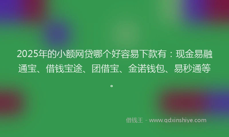 2025年的小额网贷哪个好容易下款有：现金易融通宝、借钱宝途、团借宝、金诺钱包、易秒通等。