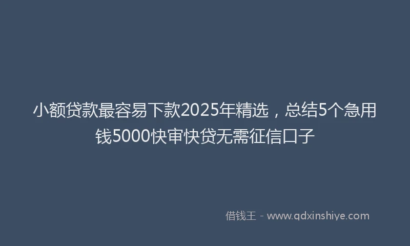 小额贷款最容易下款2025年精选，总结5个急用钱5000快审快贷无需征信口子