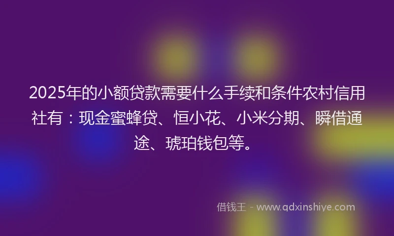 2025年的小额贷款需要什么手续和条件农村信用社有：现金蜜蜂贷、恒小花、小米分期、瞬借通途、琥珀钱包等。