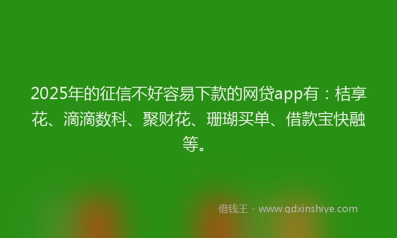 2025年的征信不好容易下款的网贷app有：桔享花、滴滴数科、聚财花、珊瑚买单、借款宝快融等。