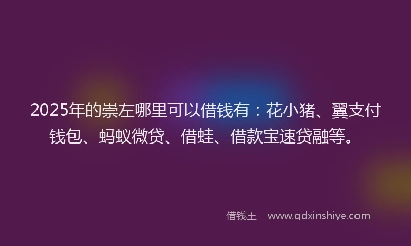 2025年的崇左哪里可以借钱有：花小猪、翼支付钱包、蚂蚁微贷、借蛙、借款宝速贷融等。