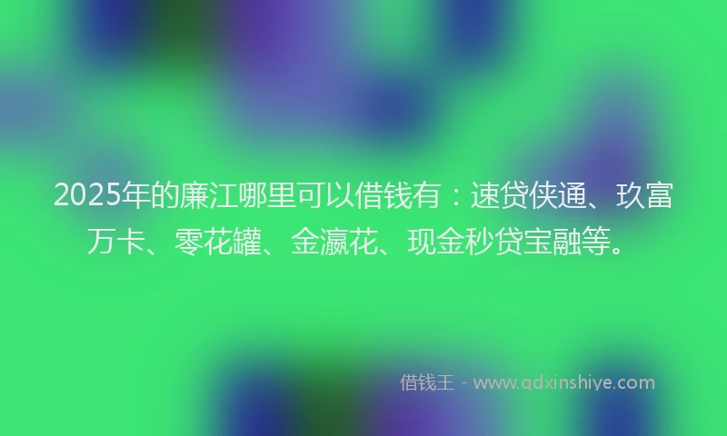 2025年的廉江哪里可以借钱有：速贷侠通、玖富万卡、零花罐、金瀛花、现金秒贷宝融等。