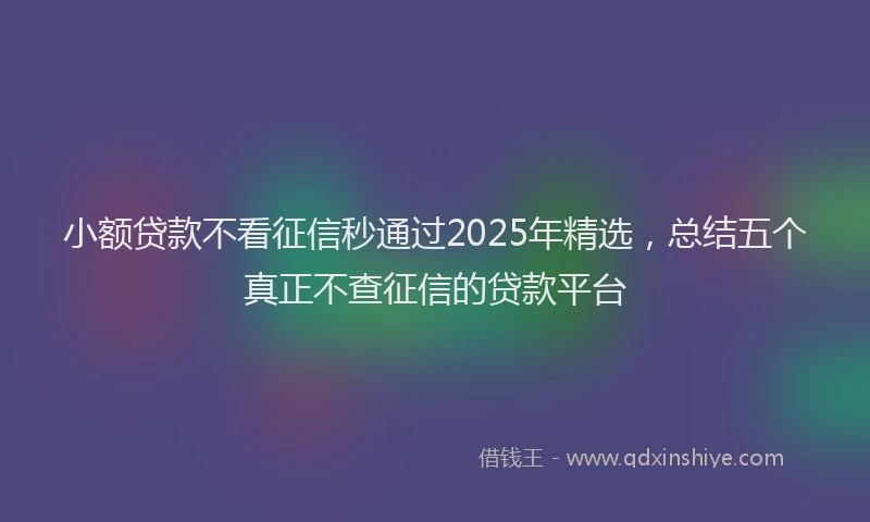 小额贷款不看征信秒通过2025年精选，总结五个真正不查征信的贷款平台