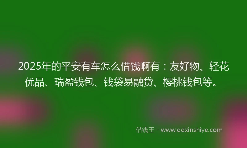 2025年的平安有车怎么借钱啊有：友好物、轻花优品、瑞盈钱包、钱袋易融贷、樱桃钱包等。