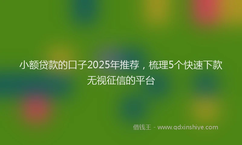 小额贷款的口子2025年推荐，梳理5个快速下款无视征信的平台