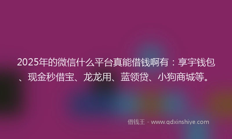 2025年的微信什么平台真能借钱啊有：享宇钱包、现金秒借宝、龙龙用、蓝领贷、小狗商城等。