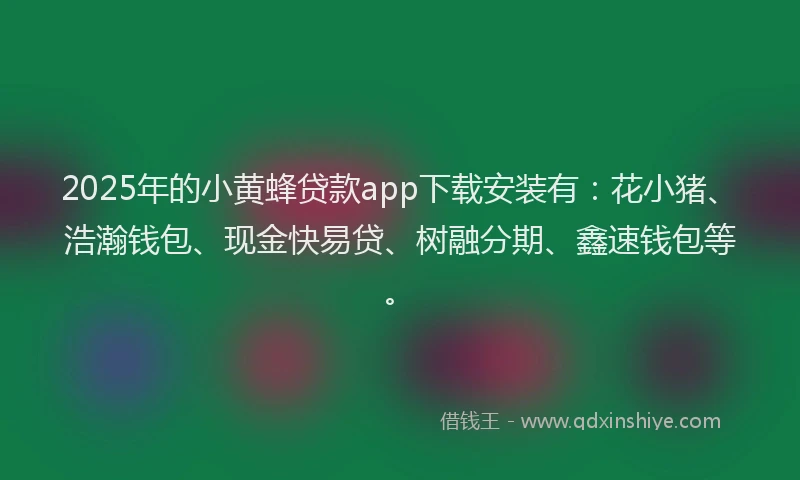 2025年的小黄蜂贷款app下载安装有：花小猪、浩瀚钱包、现金快易贷、树融分期、鑫速钱包等。