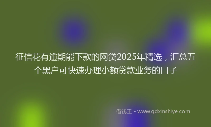 征信花有逾期能下款的网贷2025年精选，汇总五个黑户可快速办理小额贷款业务的口子