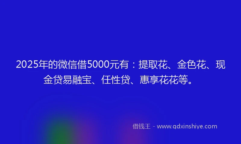 2025年的微信借5000元有：提取花、金色花、现金贷易融宝、任性贷、惠享花花等。