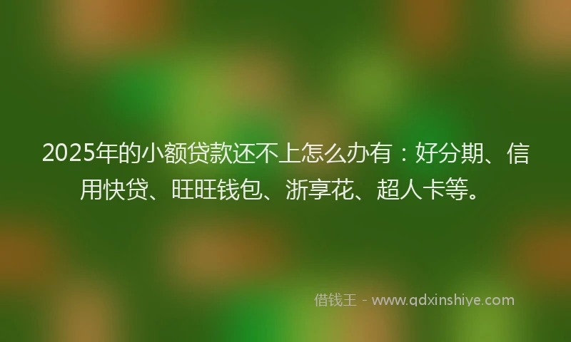 2025年的小额贷款还不上怎么办有：好分期、信用快贷、旺旺钱包、浙享花、超人卡等。