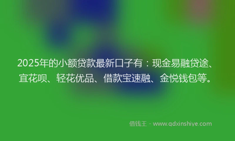 2025年的小额贷款最新口子有：现金易融贷途、宜花呗、轻花优品、借款宝速融、金悦钱包等。