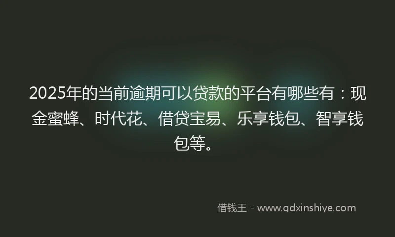 2025年的当前逾期可以贷款的平台有哪些有：现金蜜蜂、时代花、借贷宝易、乐享钱包、智享钱包等。