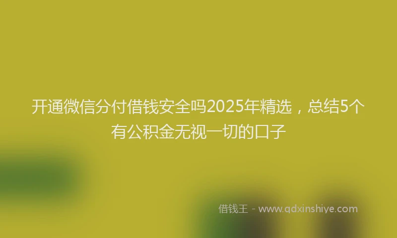 开通微信分付借钱安全吗2025年精选，总结5个有公积金无视一切的口子