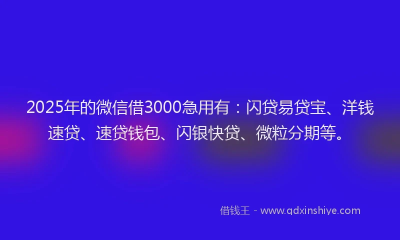 2025年的微信借3000急用有：闪贷易贷宝、洋钱速贷、速贷钱包、闪银快贷、微粒分期等。