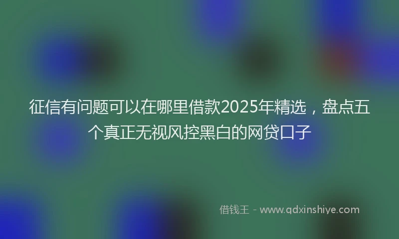 征信有问题可以在哪里借款2025年精选，盘点五个真正无视风控黑白的网贷口子