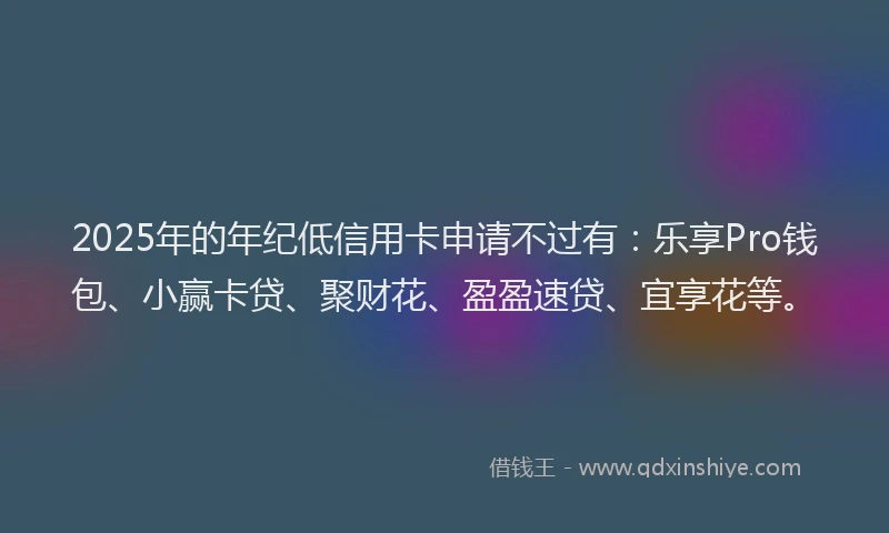 2025年的年纪低信用卡申请不过有：乐享Pro钱包、小赢卡贷、聚财花、盈盈速贷、宜享花等。